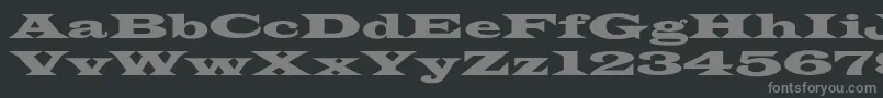 フォントLatinWideextNormal – 黒い背景に灰色の文字