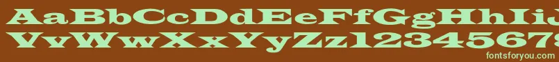 More about LatinWideextNormal Font LatinWideextNormal Font – Green Fonts on Brown Background