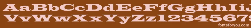LatinWideextNormal Font – Pink Fonts on Brown Background