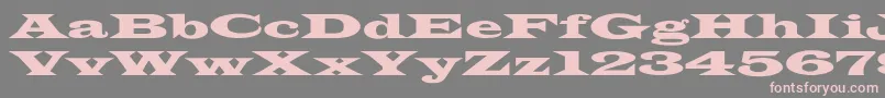 LatinWideextNormal Font – Pink Fonts on Gray Background
