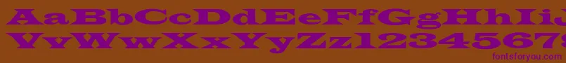Police LatinWideextNormal – polices violettes sur fond brun