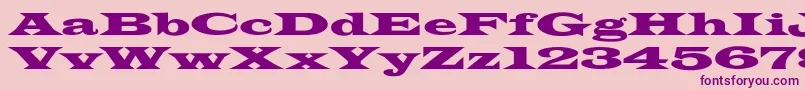 LatinWideextNormal Font – Purple Fonts on Pink Background
