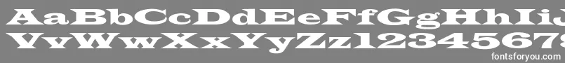 Czcionka LatinWideextNormal – białe czcionki na szarym tle