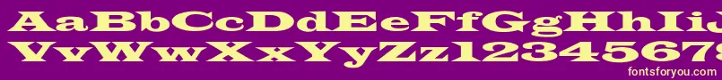 LatinWideextNormal-Schriftart – Gelbe Schriften auf violettem Hintergrund
