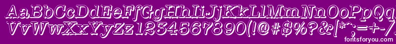 TypewritershadowItalic Font – White Fonts on Purple Background