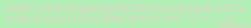 PetersburgattItalic Font – Pink Fonts on Green Background