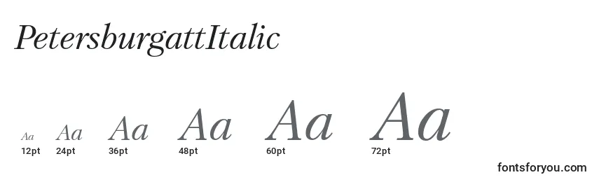 PetersburgattItalic Font Sizes
