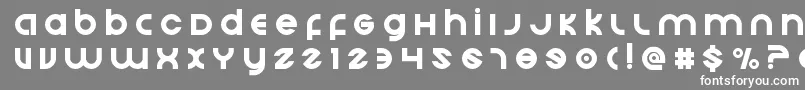 フォントEchostationtitle – 灰色の背景に白い文字