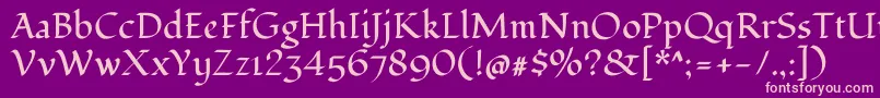 FondamentoRegular Font – Pink Fonts on Purple Background