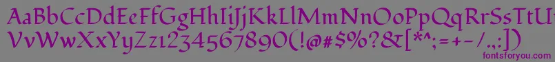 FondamentoRegular Font – Purple Fonts on Gray Background