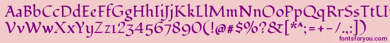 FondamentoRegular Font – Purple Fonts on Pink Background