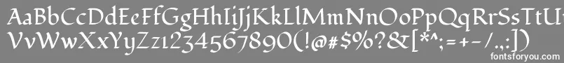 フォントFondamentoRegular – 灰色の背景に白い文字