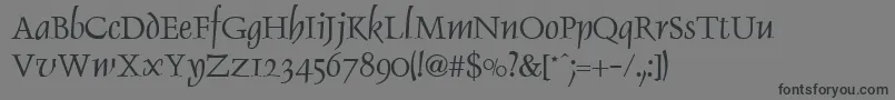 DaltonRegular Font – Black Fonts on Gray Background