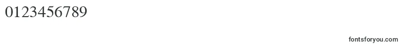 TimesRoman Font – Fonts for Numbers and Digits