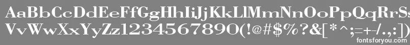 フォントVangardSolidRegular – 灰色の背景に白い文字