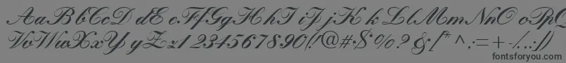 Quillscriptblackssk-fontti – mustat fontit harmaalla taustalla