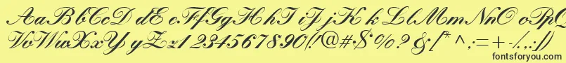 Quillscriptblackssk Font – Black Fonts on Yellow Background