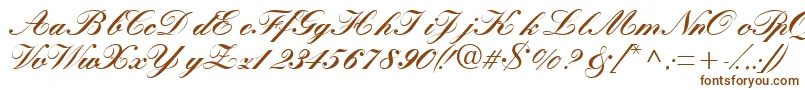 Quillscriptblackssk-Schriftart – Braune Schriften auf weißem Hintergrund