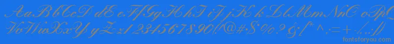 More about Quillscriptblackssk Font Quillscriptblackssk Font – Gray Fonts on Blue Background