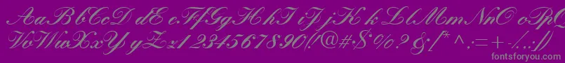 More about Quillscriptblackssk Font Quillscriptblackssk Font – Gray Fonts on Purple Background