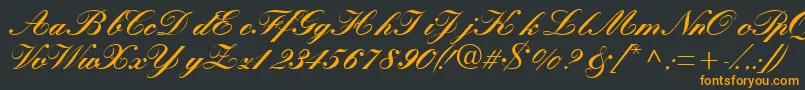 Quillscriptblackssk Font – Orange Fonts on Black Background