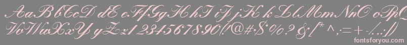 Quillscriptblackssk-Schriftart – Rosa Schriften auf grauem Hintergrund