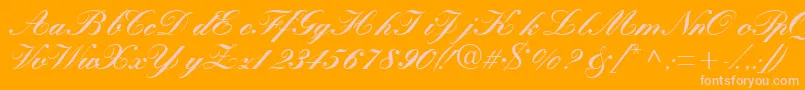 Quillscriptblackssk-Schriftart – Rosa Schriften auf orangefarbenem Hintergrund