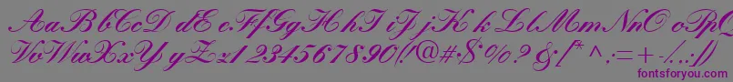 Quillscriptblackssk-Schriftart – Violette Schriften auf grauem Hintergrund