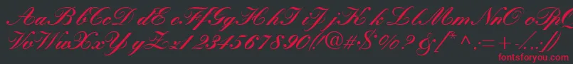 Quillscriptblackssk Font – Red Fonts on Black Background