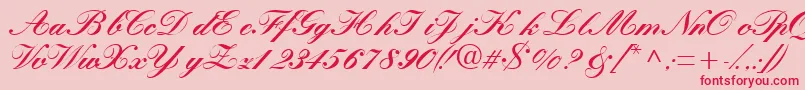 Quillscriptblackssk Font – Red Fonts on Pink Background