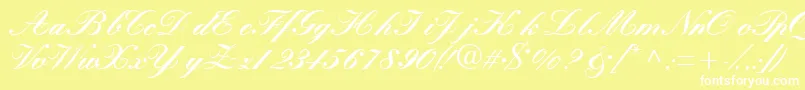 Quillscriptblackssk Font – White Fonts on Yellow Background