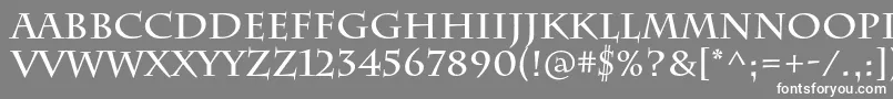 fuente CharlemagnestdBold – Fuentes Blancas Sobre Fondo Gris