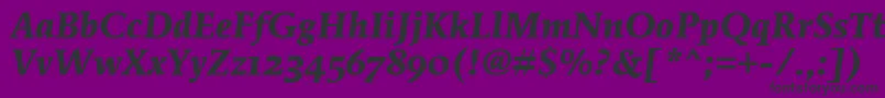 MendozaRomanOsItcTtBoldita Font – Black Fonts on Purple Background