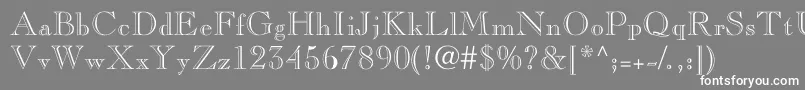Nelsieopenface Font – White Fonts on Gray Background