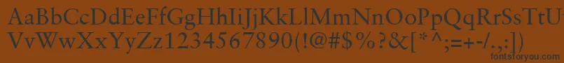 フォントSabonLtRoman – 黒い文字が茶色の背景にあります