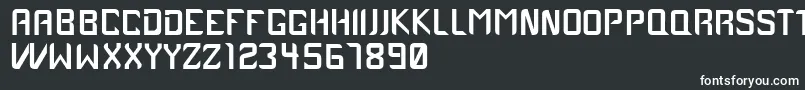 Case1979 Font – White Fonts on Black Background