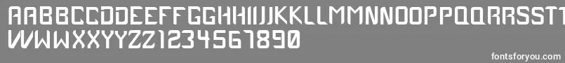 Case1979 Font – White Fonts on Gray Background