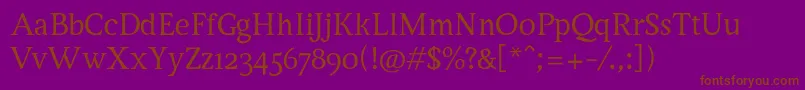 ServusTextDisplay Font – Brown Fonts on Purple Background