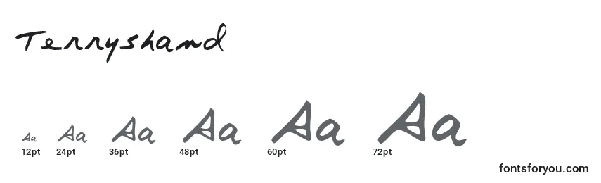 Terryshand Font Sizes