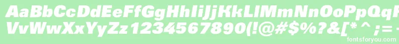 AGroticroughxbkobl Font – White Fonts on Green Background