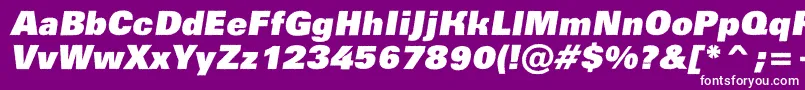 Шрифт AGroticroughxbkobl – белые шрифты на фиолетовом фоне