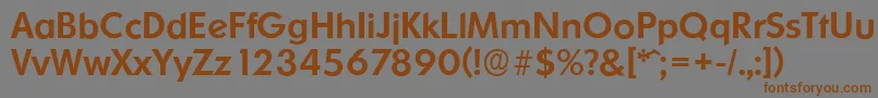 OrnitonsserialMediumRegular Font – Brown Fonts on Gray Background