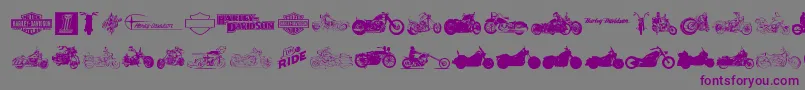 Police HarleyDavidson – polices violettes sur fond gris