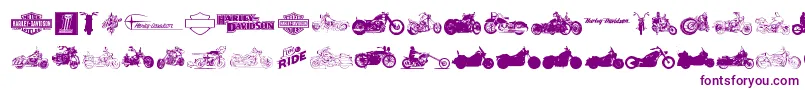 HarleyDavidson-Schriftart – Violette Schriften auf weißem Hintergrund