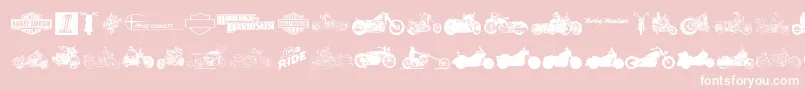 HarleyDavidson Font – White Fonts on Pink Background