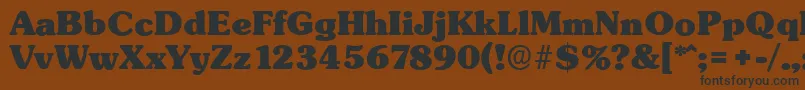 SunsetserialHeavyRegular Font – Black Fonts on Brown Background