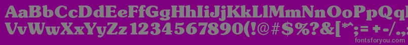 SunsetserialHeavyRegular Font – Gray Fonts on Purple Background
