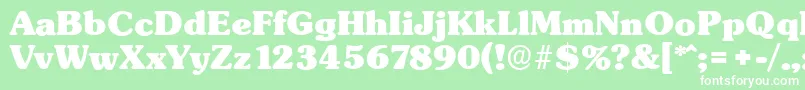 SunsetserialHeavyRegular Font – White Fonts on Green Background