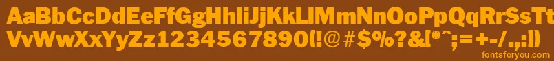 PlymouthserialBlackRegular Font – Orange Fonts on Brown Background