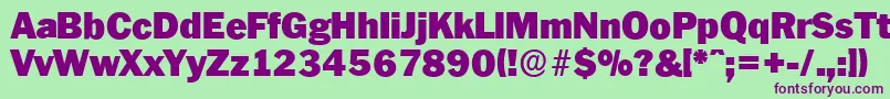 PlymouthserialBlackRegular Font – Purple Fonts on Green Background